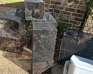 live animal cages traps