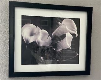 Iris Glass Front Framed Black and White Picture