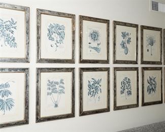 These botanical prints are being separately.  