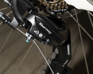 Tourney gears on the Chatham retrospec bike