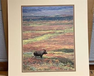 Marc Lombard Signed Photograph