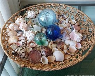 Beautiful Seashell Garden in a Basket
