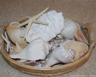 Shells in a Woven Basket