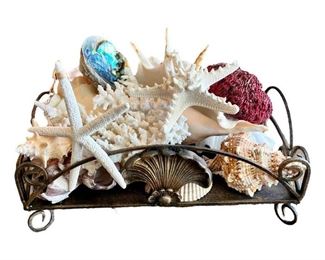 Unique Decorative Tray with Assorted Seashells