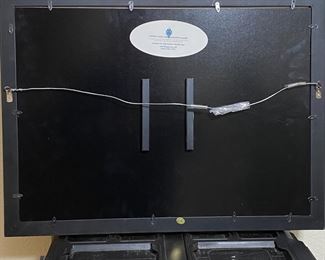 US Presidential Dollar Collection Partial Fill United States 	Frame: 20.25 x 27in	HxWxD
