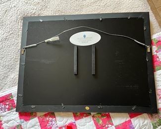 #2 United States Presidential Dollar Collection Partial Fill	Frame: 20.25 x 27in	
