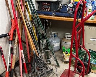 Garden tools and dolly