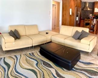 Natuzzi Sectional