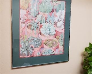 Cactus and succulents
31x36