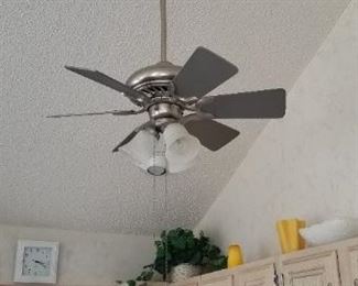 Ceiling fans