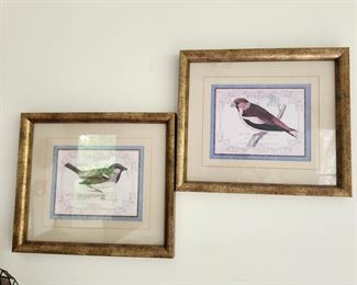 Lovely Bird Prints