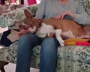 Miss Bonnie & Precious