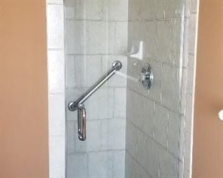Shower door