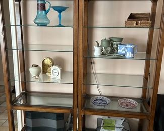  Curios for all your treasures Yes they light