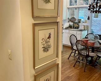 Set of botanical prints