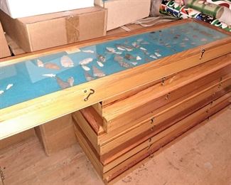 VIEW OF SHOWCASES OF ARROWHEADS