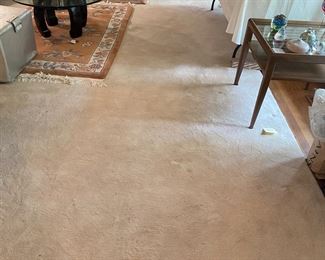 Room sized rug 10’ x 15.5’