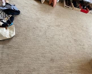 Room rug with texture 10’ x 15.5’