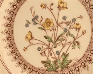 Spode "Buttercup"