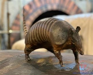 Walking Stuffed Taxidermy Armadillo