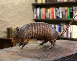 Walking Stuffed Taxidermy Armadillo