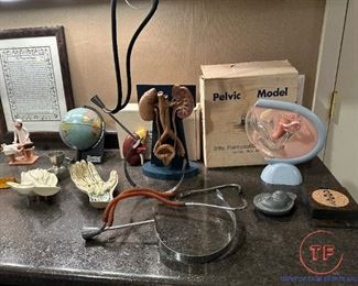 Vintage Medical Models