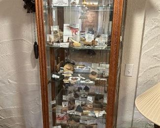 Collection of Dinosaur Fossils