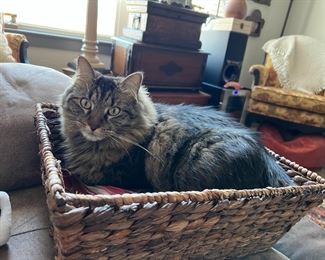 Bebe hopes you will join her at this great sale. Meow-za prices!!