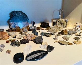 Fossils, crystals, gems, & stones