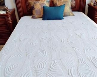 THIS IS ONE OF THE QUEEN BEDS - CALLED A "LIFT  BED", HEAD AND FOOT ELEVATE BY REMOTE, EXC. CONDITION