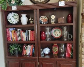 Beautiful lighted bookshelves