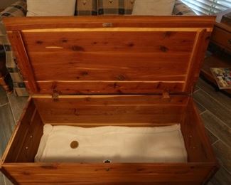 Inside Cedar Trunk