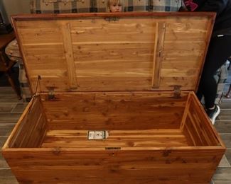 Inside Cedar Trunk