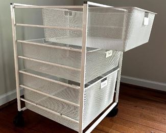 Container store organizer