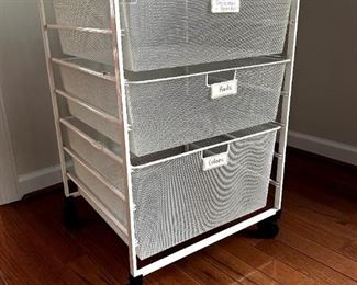 Container store organizer
