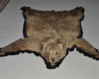 Impressive Fur Bear Rug, 52" x 72"