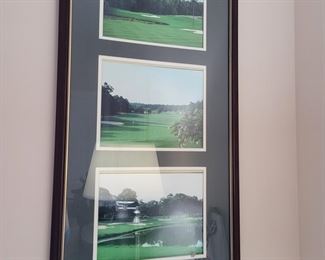 Ford's Colony Gold course art