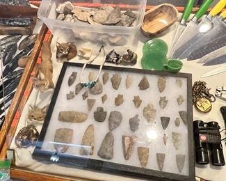 Top notch arrow head collection in fancy display