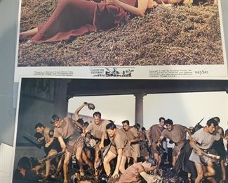 12" x 14" display cards