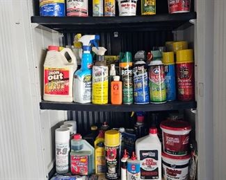 Tons of cleaning supplies and paint/supplies
