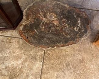 Huge slab of petrified wood!  