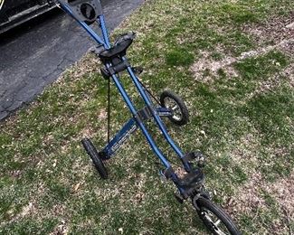 Golf Caddy, everyone needs one!