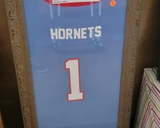 DELAWARE STATE HORNETS #1 FRAMED NCAA JERSEY