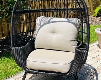 Indoor/Outdoor Egg Chair w/2 Cushions