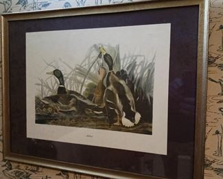 Several duck themed framed decorative