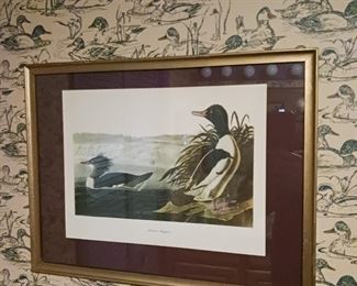 Duck art prints