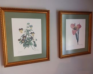 Botanical art prints framed