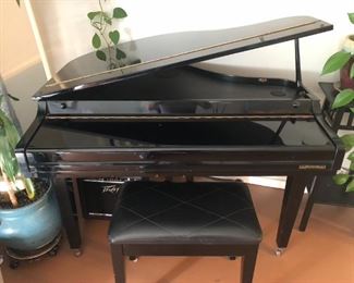 Samick Mini Grand Piano