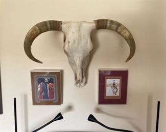 Cattle skull
