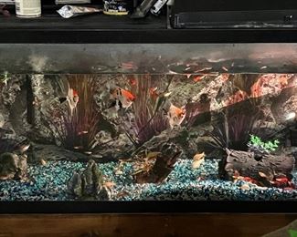 Fish Tank with Fish